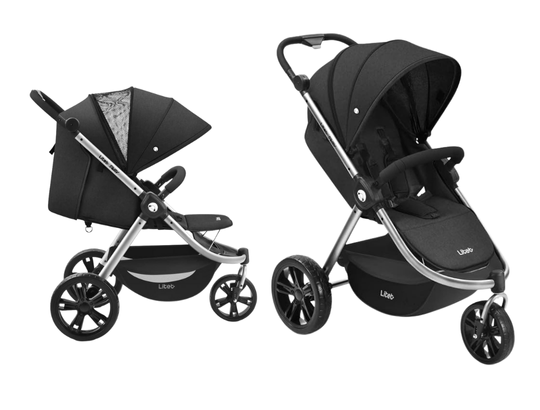 Tipo de Carrinhode 3 rodas